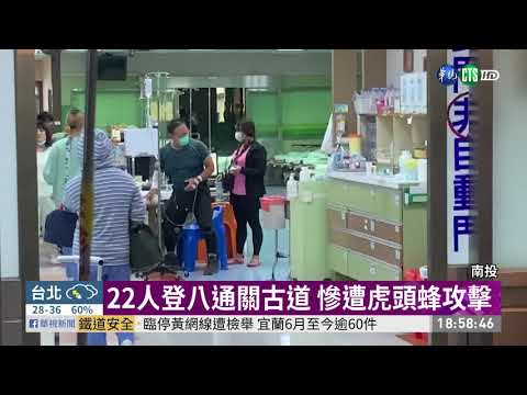 「蜂」狂攻擊! 22登山客遭螫傷送醫