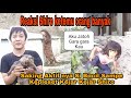 REAKSI SHIRO KETEMU BANYAK ORANG SAMPAI BIKIN JATUH ANAK KECIL Rumahotter Shiro