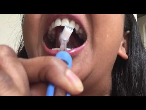 How to brush teeth manual toothbrush