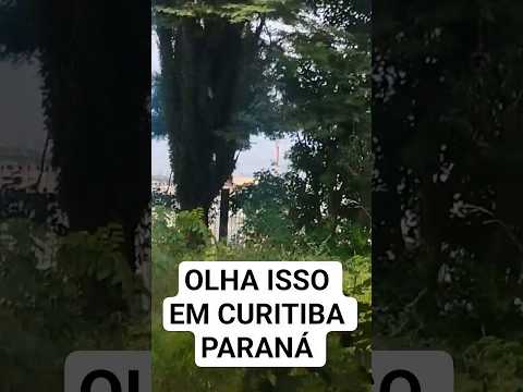 fábrica abandonada Curitiba PR