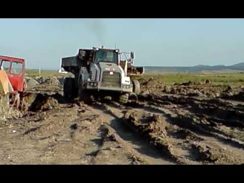 006 net markovenor rabele din cariera sarmasag 2008 060808 19 1501