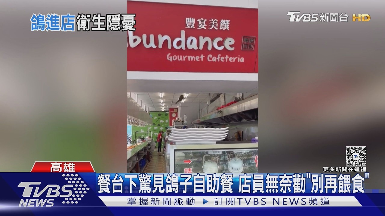 高雄自助餐淪鴿子食堂!「餐台下覓食」畫面瘋傳 衛生局出手了