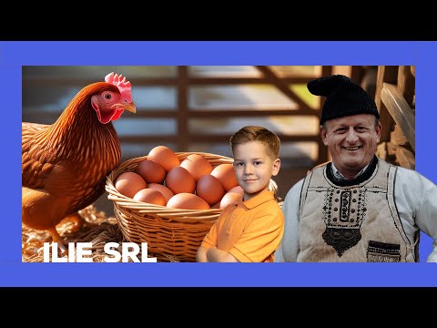 Danger⚠️ maneuvers with the eggs 🥚 from Ilie 🧑🏻‍🌾 #iliesrl