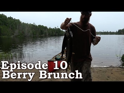 Beyond Survival | The Wilderness Living Challenge 2016 S01E10 - BERRY BRUNCH