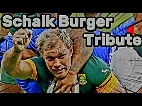 Schalk Burger Tribute - Hardest Springboks & RWC 2007 Rugby Player - Fights & Tries #rugby #sports