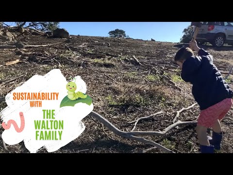 GSPV Sustainability - Walton Family 2021