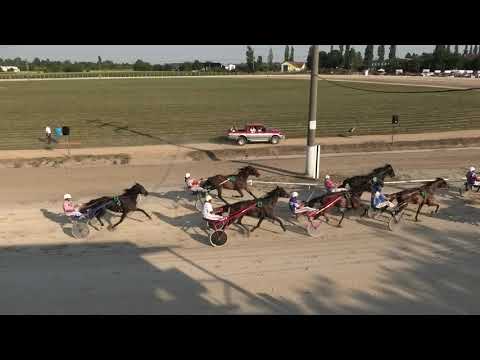 Trka "Zemljoradnička zadruga Agro MV-Sivac” 14.08.2021 Saphir AT - Miodrag Pantić