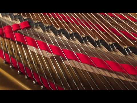 "Sin Tu Mitad" Saúl Cosentino - performed by Paola Fasola