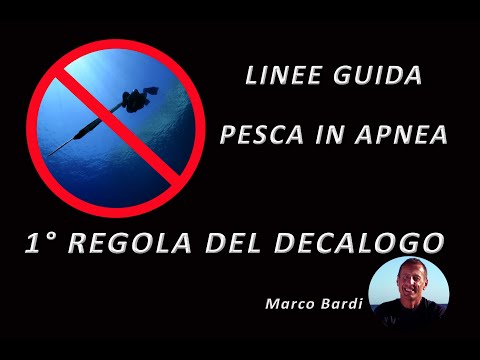 Pesca sub leggi e normative