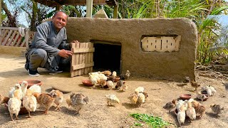 Primitive Technology Mud House For Hens | Free Range Chicken Farming | Desi Murgh Farming in Village