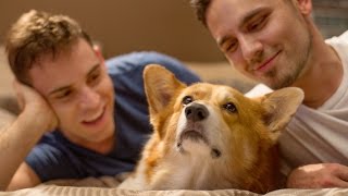 Weird Things Couples Do With Their Dogs video