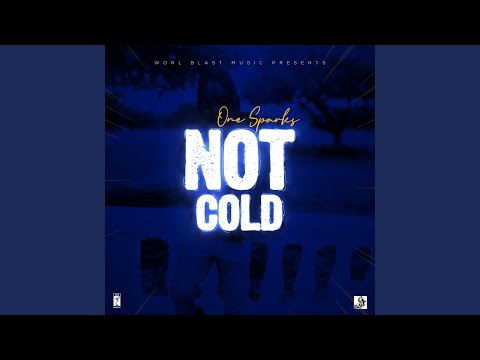 Not Cold (feat. One Sparks)