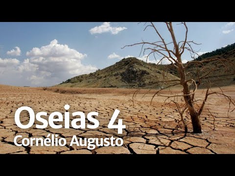 Bíblia Falada | Oseias 04