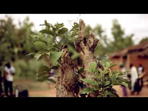 ADJEWODA  " Chez Moi" Clip officiel