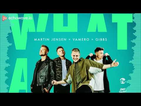 Martin Jensen feat. Vamero x Gibbs - What A Night