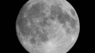 meet you @ the moon , imelda may a bouncing tigger upload