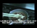 モーイ豆腐・・沖縄料理 