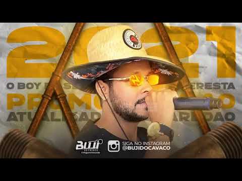 O Boy da Seresta - Verão 2021