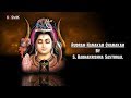 Rudram Namakam Chamakam By S Radhakrishna Sastrigal