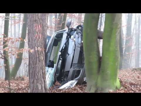 Voznik zletel s ceste v gozd