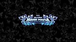 Swedish House Mafia - Silvia