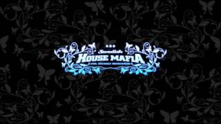 Swedish House Mafia - Silvia