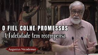 COMO DEUS ABENÇOA QUEM É FIEL — OS BENEFÍCIOS DA FIDELIDADE À DEUS
