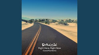 Right Here Right Now (Radio Edit) (CamelPhat Remix)