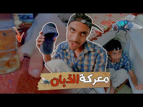 بسبب ذبانة كنت غانـ ... | معركتي ضد الذبانة المزعجة