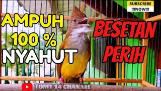 Download lagu PANCINGAN Pagi SIANG Malam CUCAK JENGGOT GACOR MANGGIL LAWAN | JENGGOT BAHAN Cepat BUNYI GACOR mp3