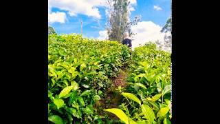 Download lagu #sultan #berpisahdiujungjalan Lagu Malaysia BERPISAH DI UJUNG JALAN mp3 Download lagu #sultan #berpisahdiujungjalan Lagu Malaysia BERPISAH DI UJUNG JALAN mp3