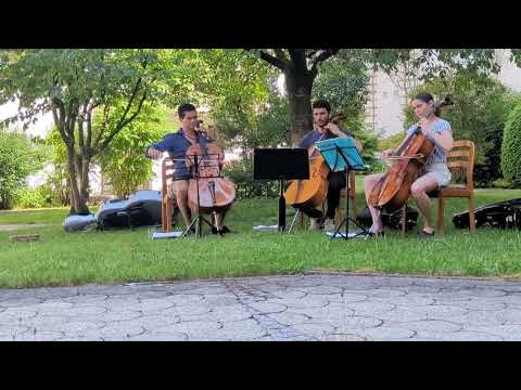 Ein sommerliches Ständchen