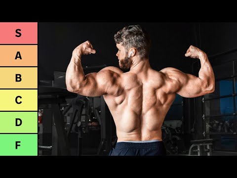 Exercises For back Growth  Back exercises, Weight training