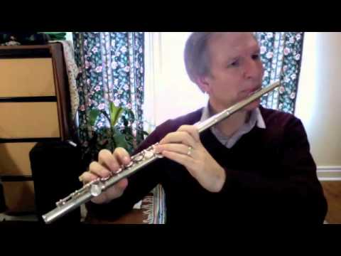 Yamaha YFL 221 Flute -  Sleeping Beauty Waltz