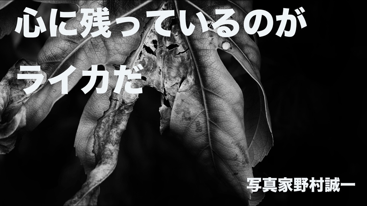 ライカは、空気を写す──想像はその先にあった、、、