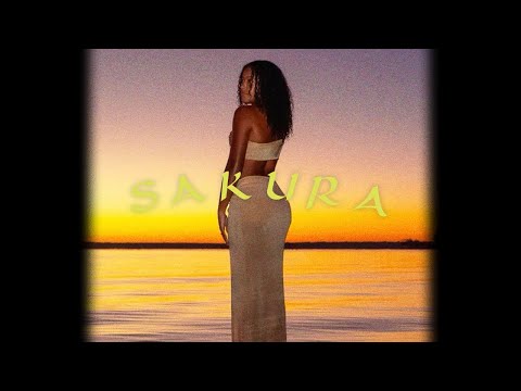 (FREE) Vacra ✘ Zamdane Type Beat "Sakura" | Instru Afro/Ambiance