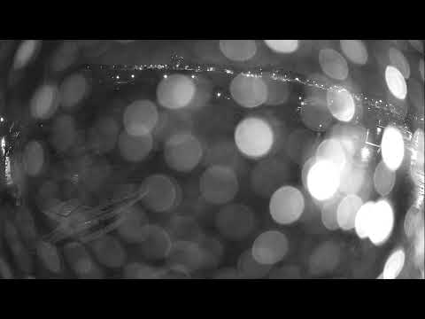 Tehnomont Marina Veruda, Pula live webcam