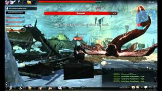 Vindictus Gameplay - Quiremigal Boss