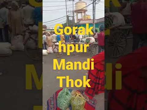 Gorakhpur Mandi Thok Market