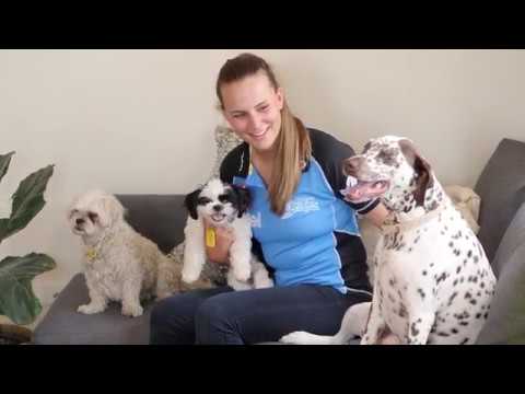 A Day In The Life Of Alex Price