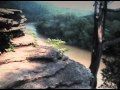Matt Bauer - "When I Was a Mockingbird" Crossbill Records