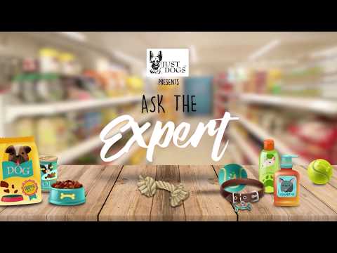 How to shift your dog from having home cooked food to packaged food?