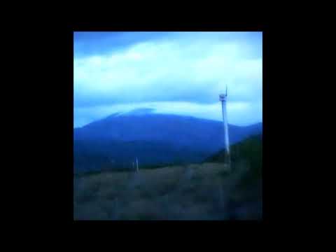 106. Cat Soup - standstill [15.04.2020]