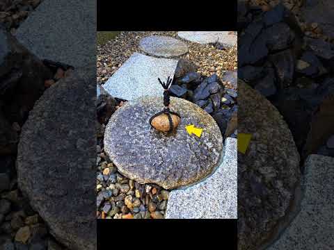 amenagement-paysager-abri-jardin-bois-forêt-pins