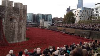 PH3 1146 Two Minutes Silence  for WW1 Dead   Tower of London 11Nov2014