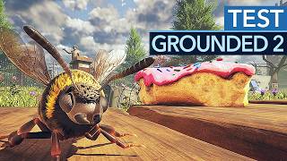 Kleine Welt, großer Survival-Spaß - Nur die Verbesserungen kommen noch zu kurz! - Grounded 2 im Test