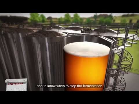 Beer Brewing Process- How beer works fermentation？