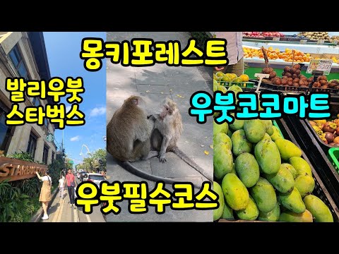 U bud Coco Supermercado Ubud Bali