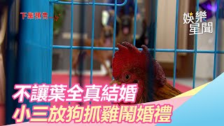 就是不讓葉全真嫁她哥！小三大鬧婚禮