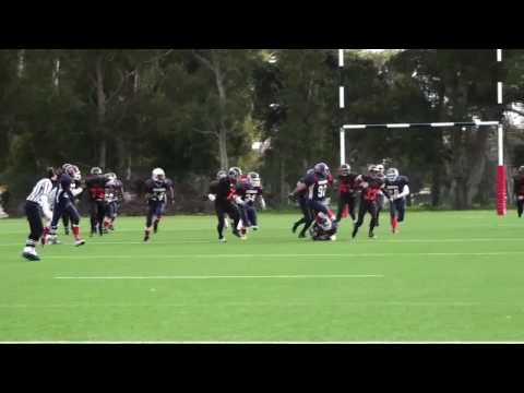 Renegades and Crusaders